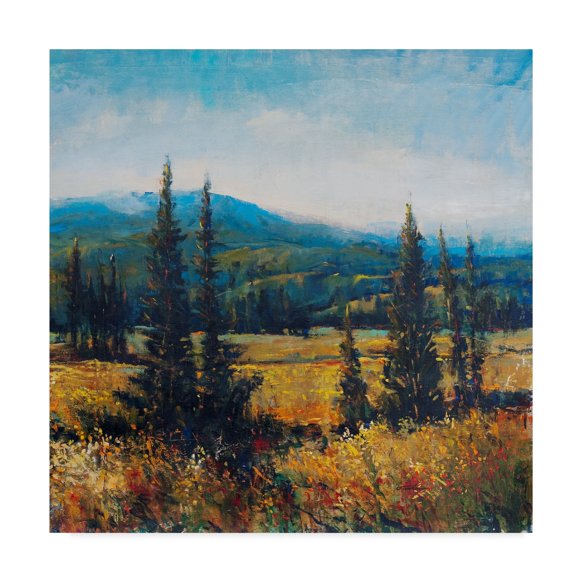 Trademark Fine Art 'Pacific Northwest II' Canvas Art by Tim OToole