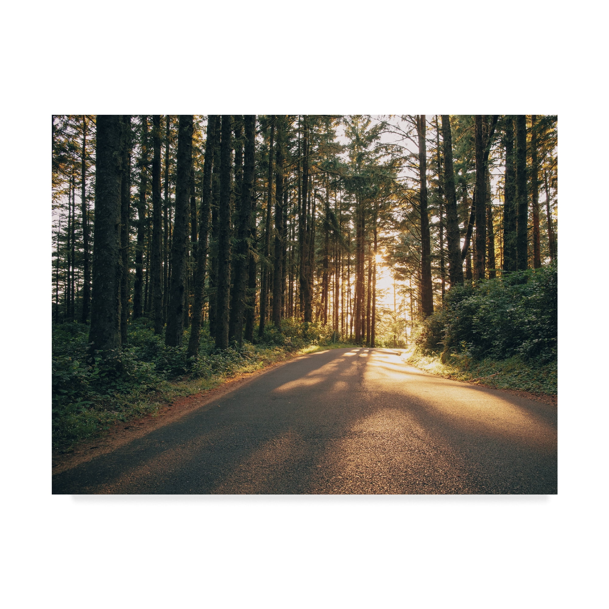 Trademark Fine Art 'Pacific Northwest Oregon III' Canvas Art by Adam Mead