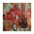 thumbnail image 1 of Trademark Fine Art 'Pacific Orchid I' Canvas Art by John Butler, 1 of 4