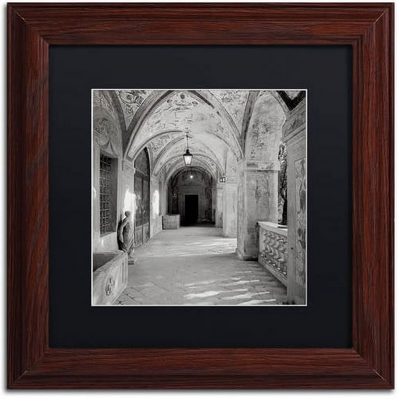Trademark Fine Art "Padova I" Canvas Art by Alan Blaustein, Black Matte, Wood Frame