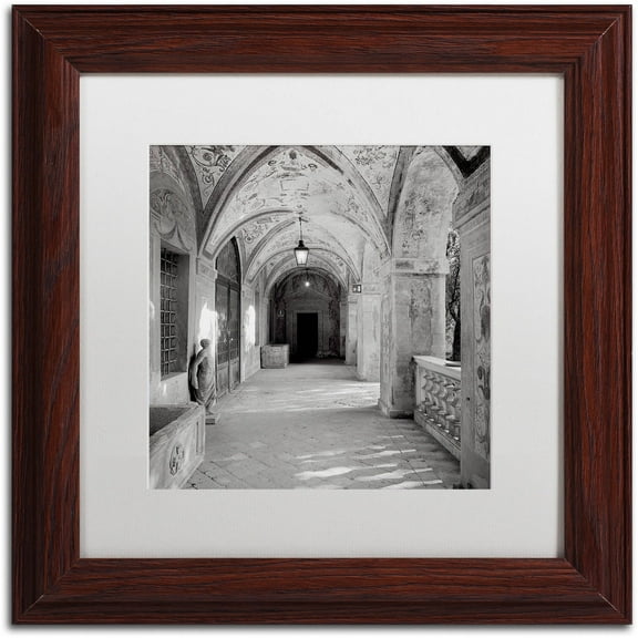 Trademark Fine Art "Padova I" Canvas Art by Alan Blaustein, White Matte, Wood Frame