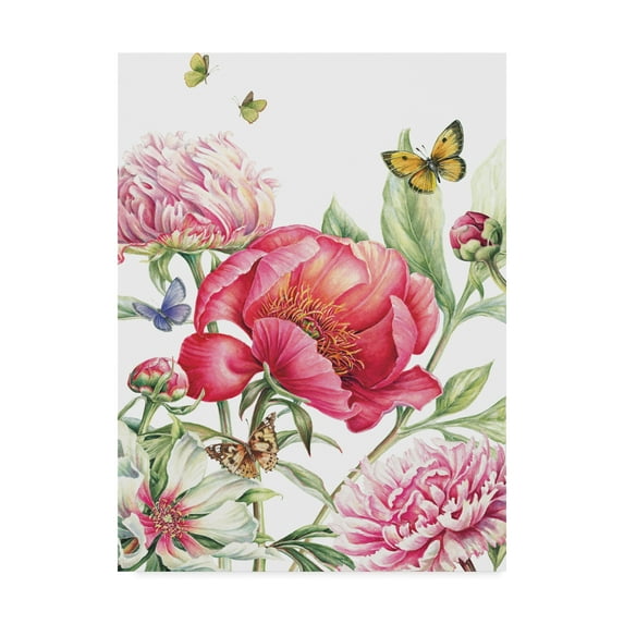 Trademark Fine Art 'Paeonia' Canvas Art by Janneke Brinkman-Salentijn