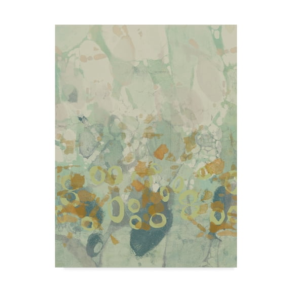 Trademark Fine Art 'Paint Drops II' Canvas Art by Jennifer Goldberger