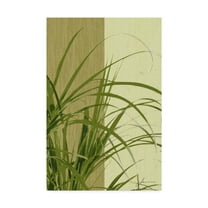 Trademark Fine Art 'Painted Contrast Leaves III' Canvas Art by James Burghardt