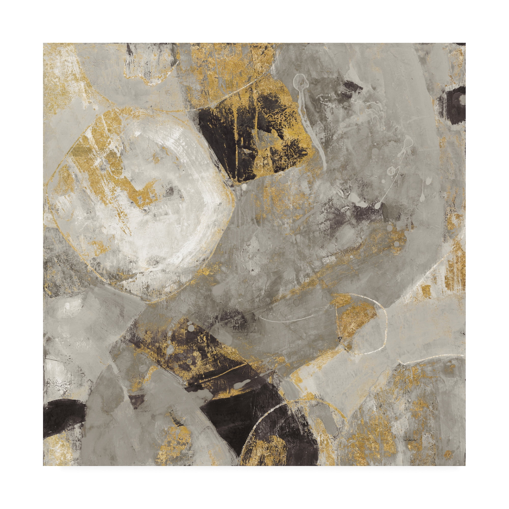 Trademark Fine Art 'Painted Desert Neutral' Canvas Art by Albena Hristova