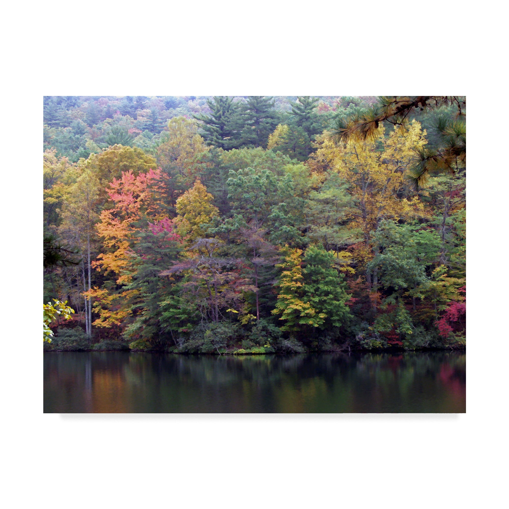 Trademark Fine Art 'Painted Hillside' Canvas Art by J.D. Mcfarlan