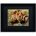 thumbnail image 1 of Trademark Fine Art "Painted Old Roses" Canvas Art by Lois Bryan Black Matte, Black Frame, 1 of 4