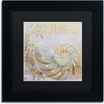 Trademark Fine Art "Painted Sea III" Canvas Art by Color Bakery Black Matte, Black Frame