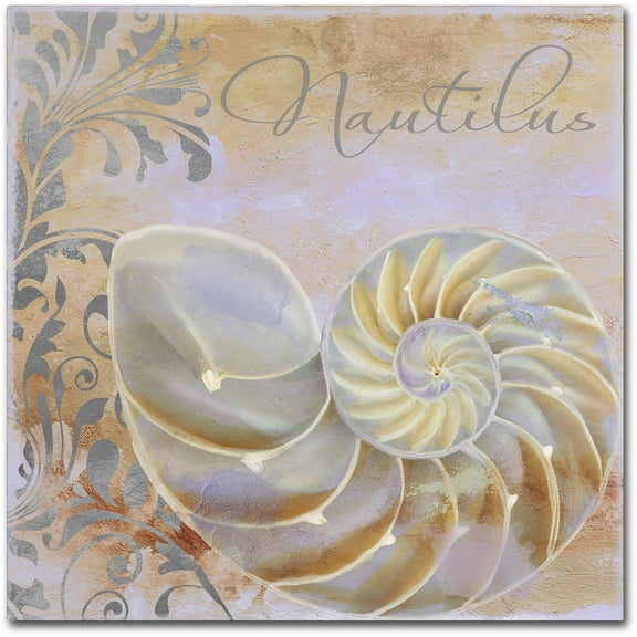 Trademark Fine Art "Painted Sea III" Canvas Art by Color Bakery