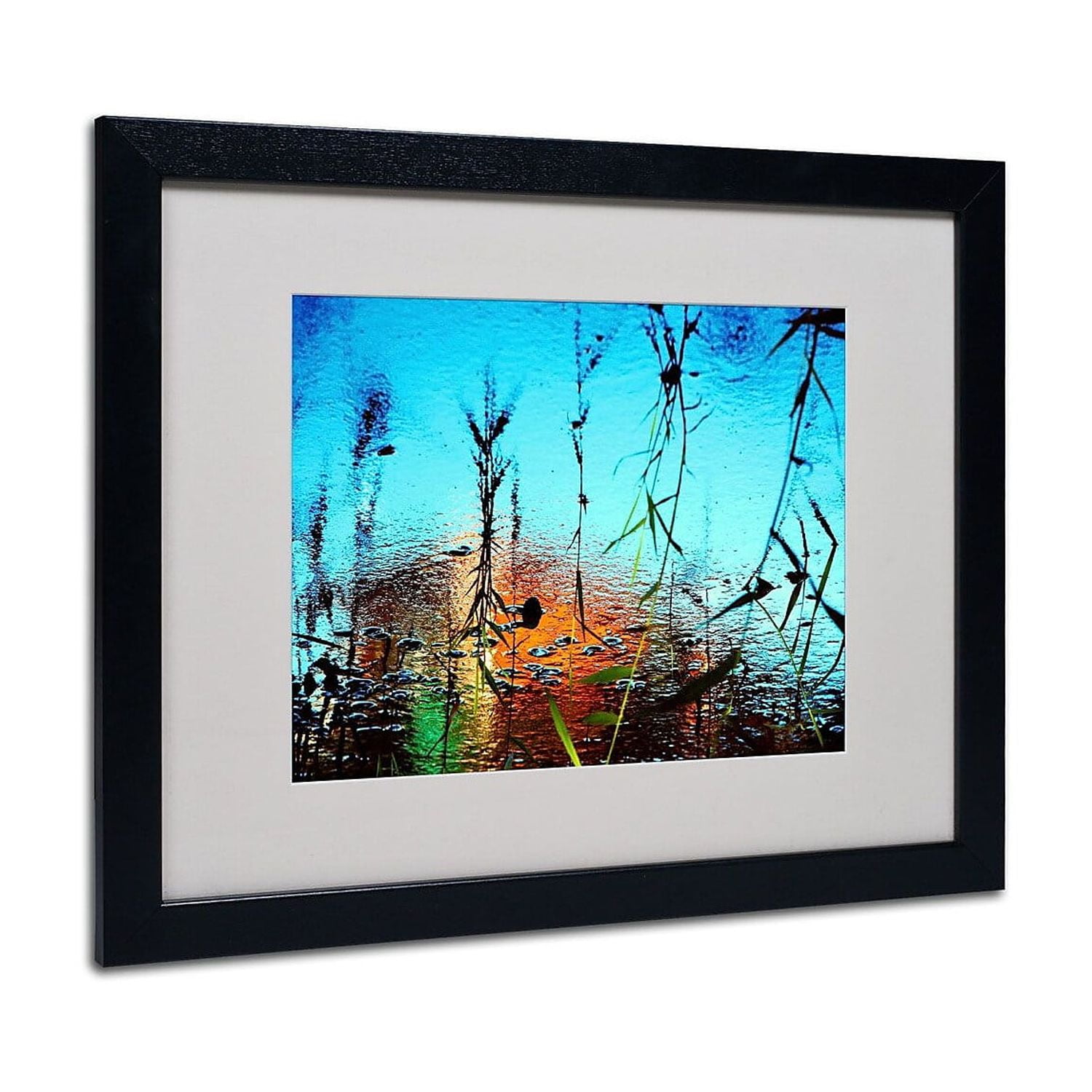 Trademark Fine Art "Painted by Nature" Framed Canvas Art by Beata Czyzowska Young