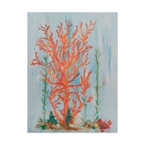Trademark Fine Art 'Painterly Coral II' Canvas Art by Olivia Brewington