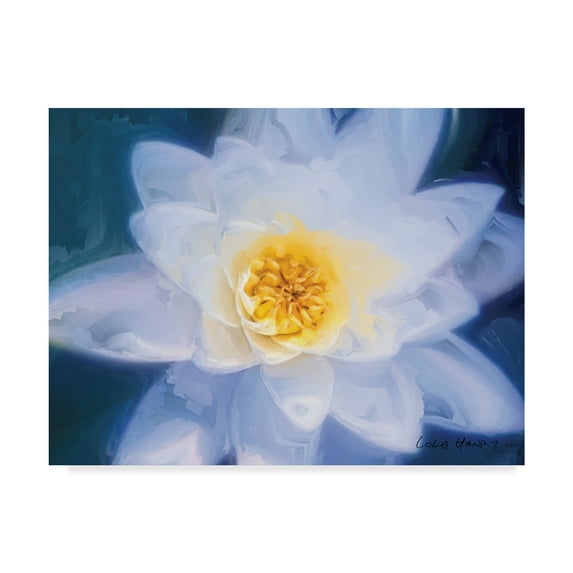 Trademark Fine Art 'Painterly Flower III' Canvas Art by Lola Henry