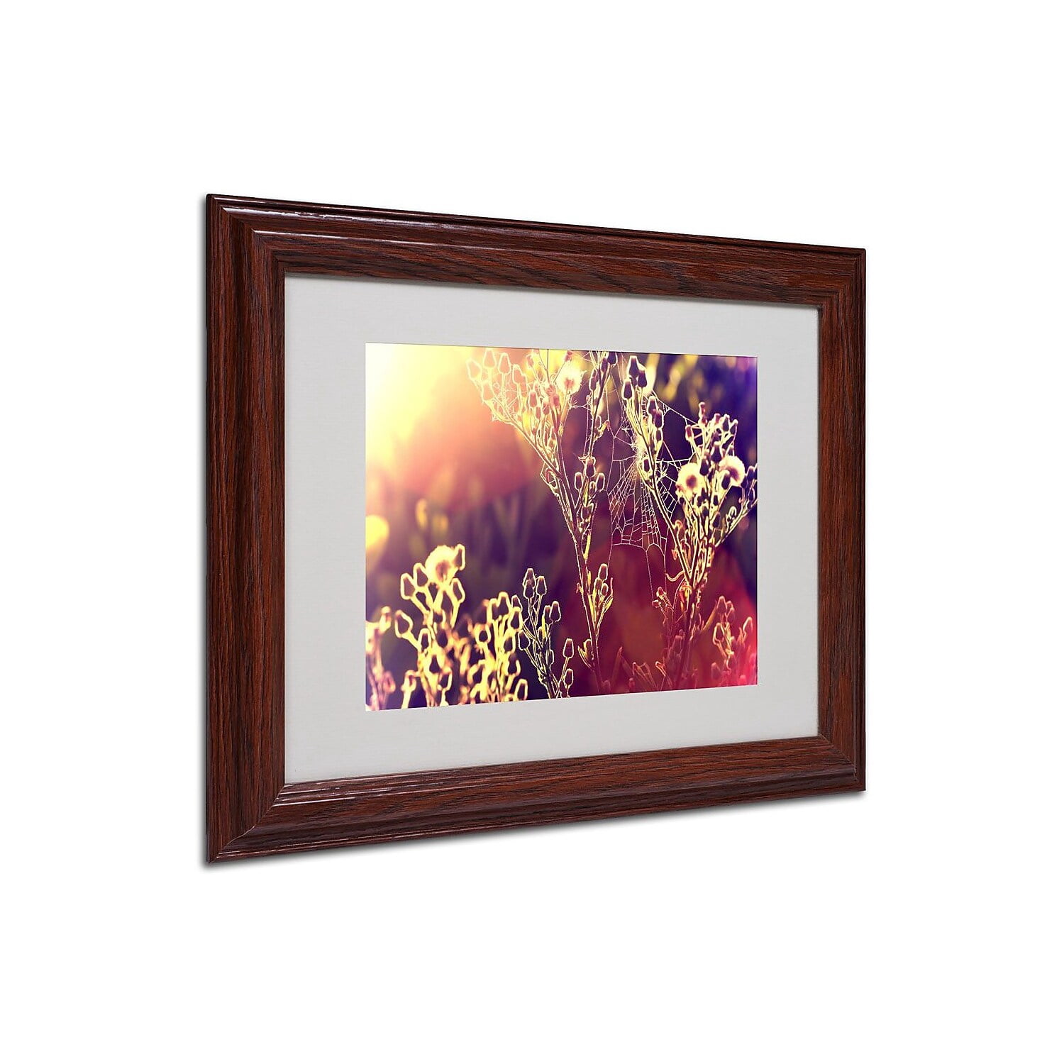 Trademark Fine Art "Painting Light" Framed Canvas Art by Beata Czyzowska Young
