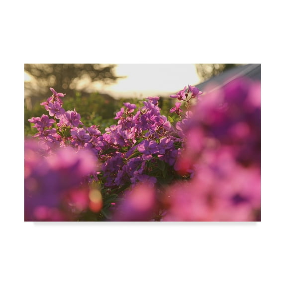 Trademark Fine Art 'Painting With Pink' Canvas Art by Incredi