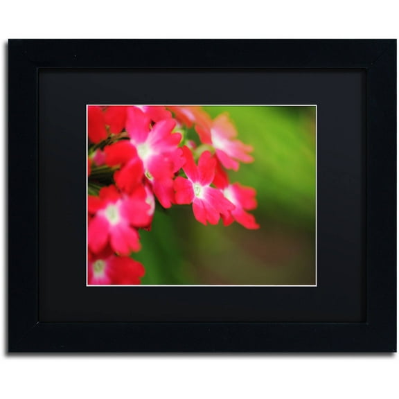 Trademark Fine Art "Paired Ornament" Canvas Art by Monica Mize, Black Matte, Black Frame