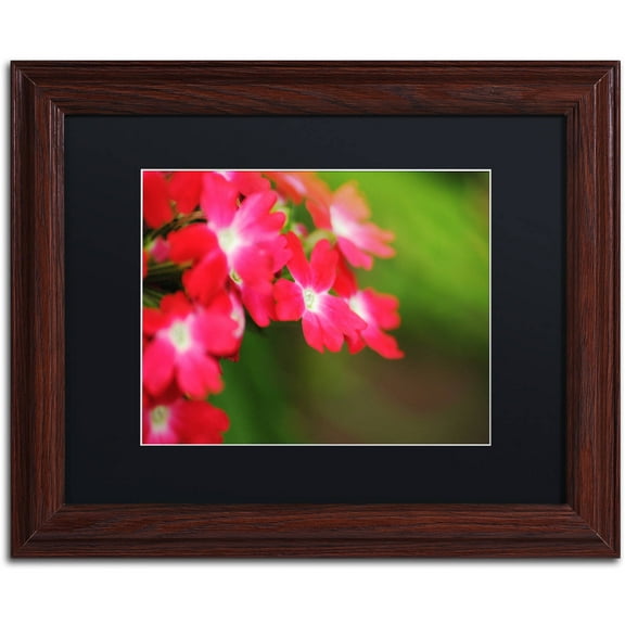 Trademark Fine Art "Paired Ornament" Canvas Art by Monica Mize, Black Matte, Wood Frame