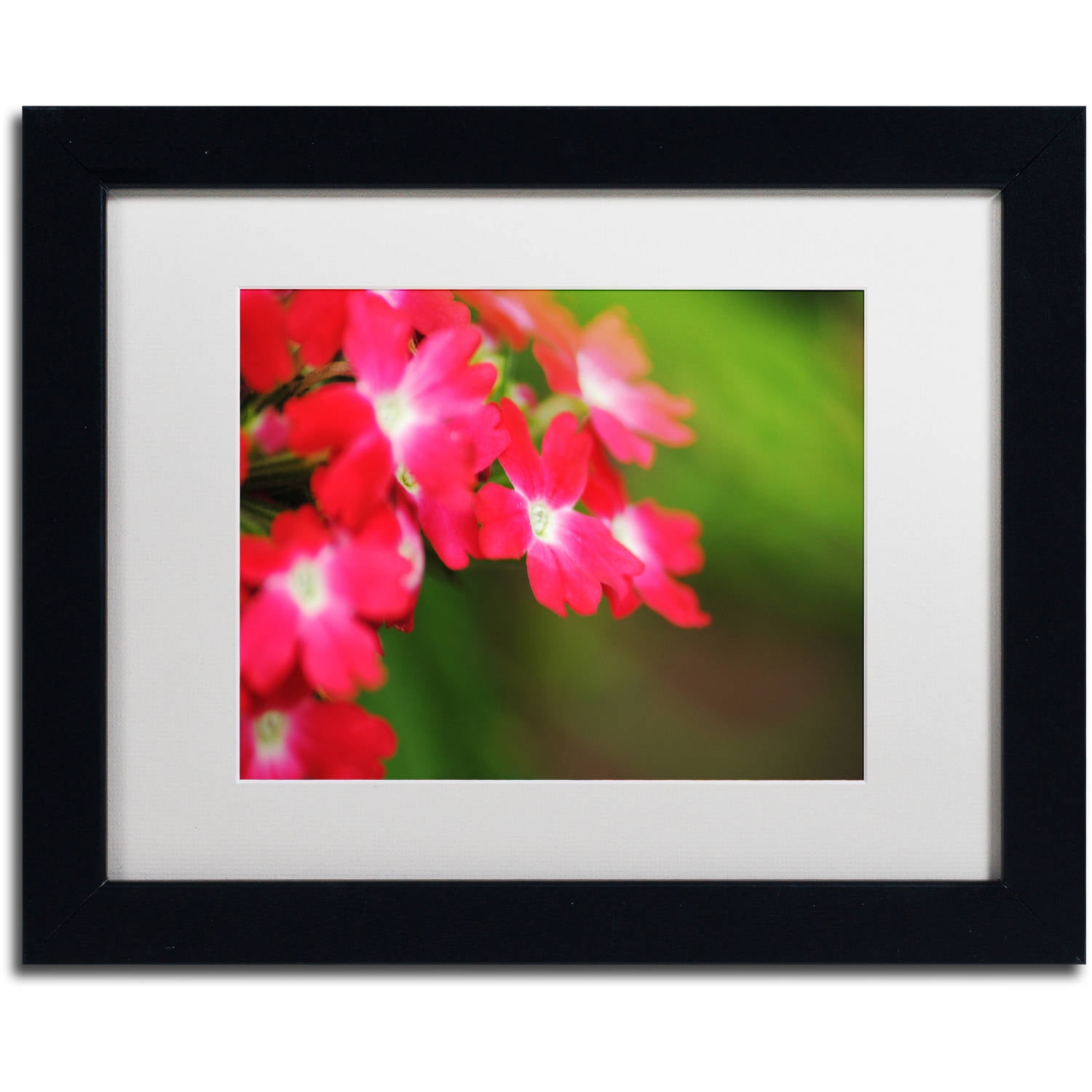 Trademark Fine Art "Paired Ornament" Canvas Art by Monica Mize, White Matte, Black Frame