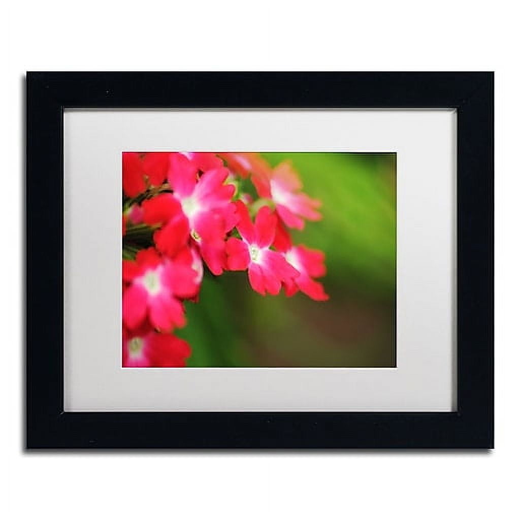 Trademark Fine Art "Paired Ornament" Canvas Art by Monica Mize, White Matte, Black Frame