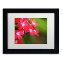 Trademark Fine Art "Paired Ornament" Canvas Art by Monica Mize, White Matte, Black Frame