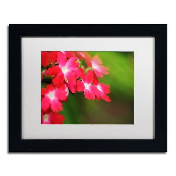 Trademark Fine Art "Paired Ornament" Canvas Art by Monica Mize, White Matte, Black Frame