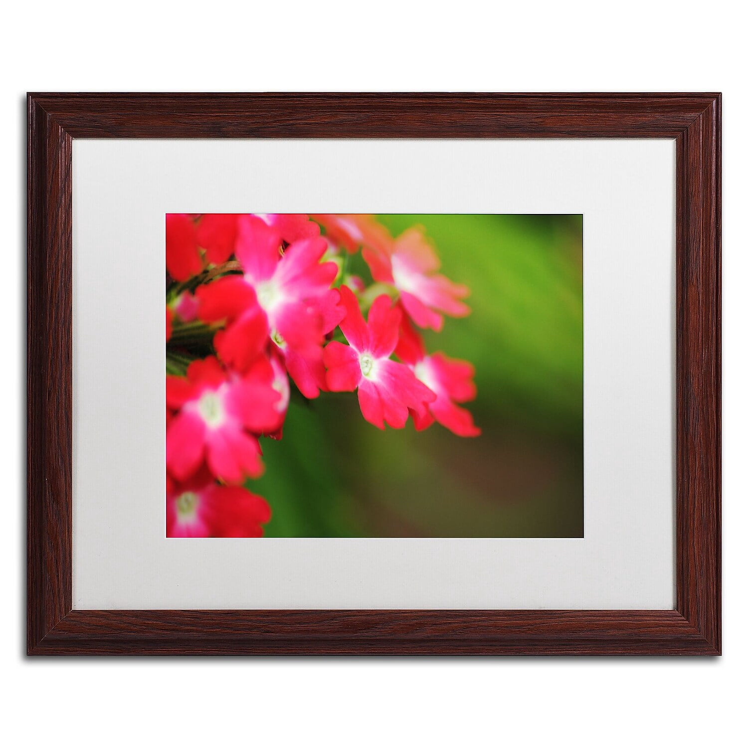 Trademark Fine Art "Paired Ornament" Canvas Art by Monica Mize, White Matte, Wood Frame