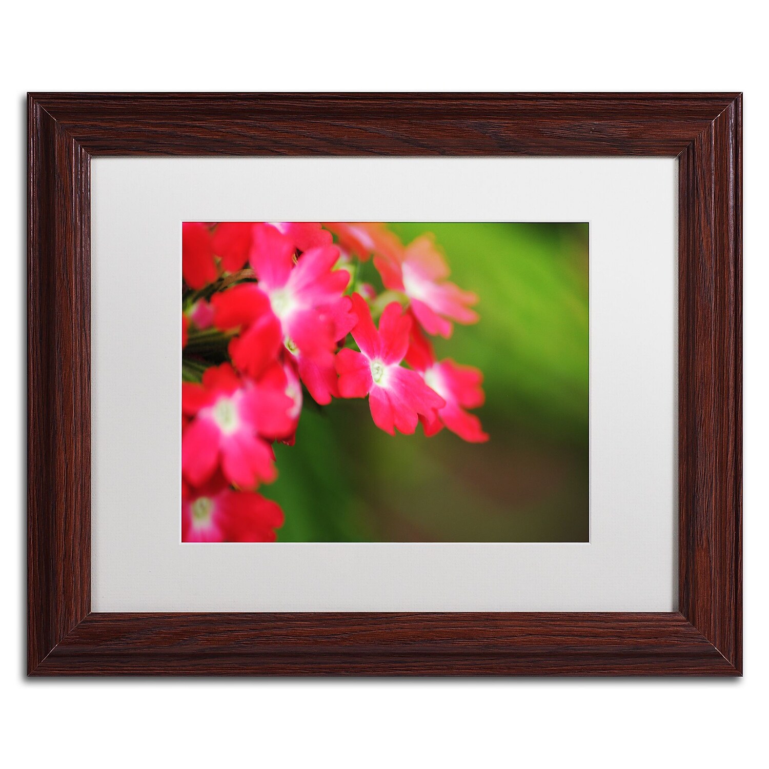 Trademark Fine Art "Paired Ornament" Canvas Art by Monica Mize, White Matte, Wood Frame
