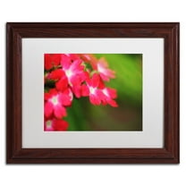 Trademark Fine Art "Paired Ornament" Canvas Art by Monica Mize, White Matte, Wood Frame