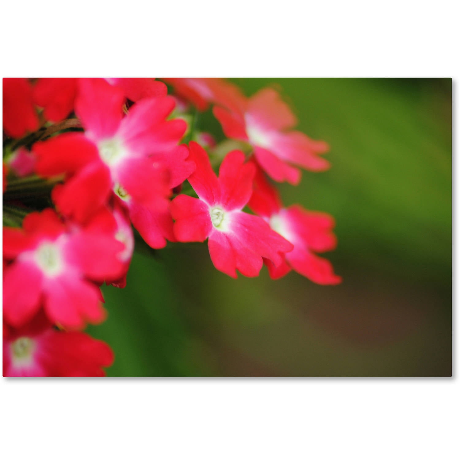 Trademark Fine Art "Paired Ornament" Canvas Art by Monica Mize