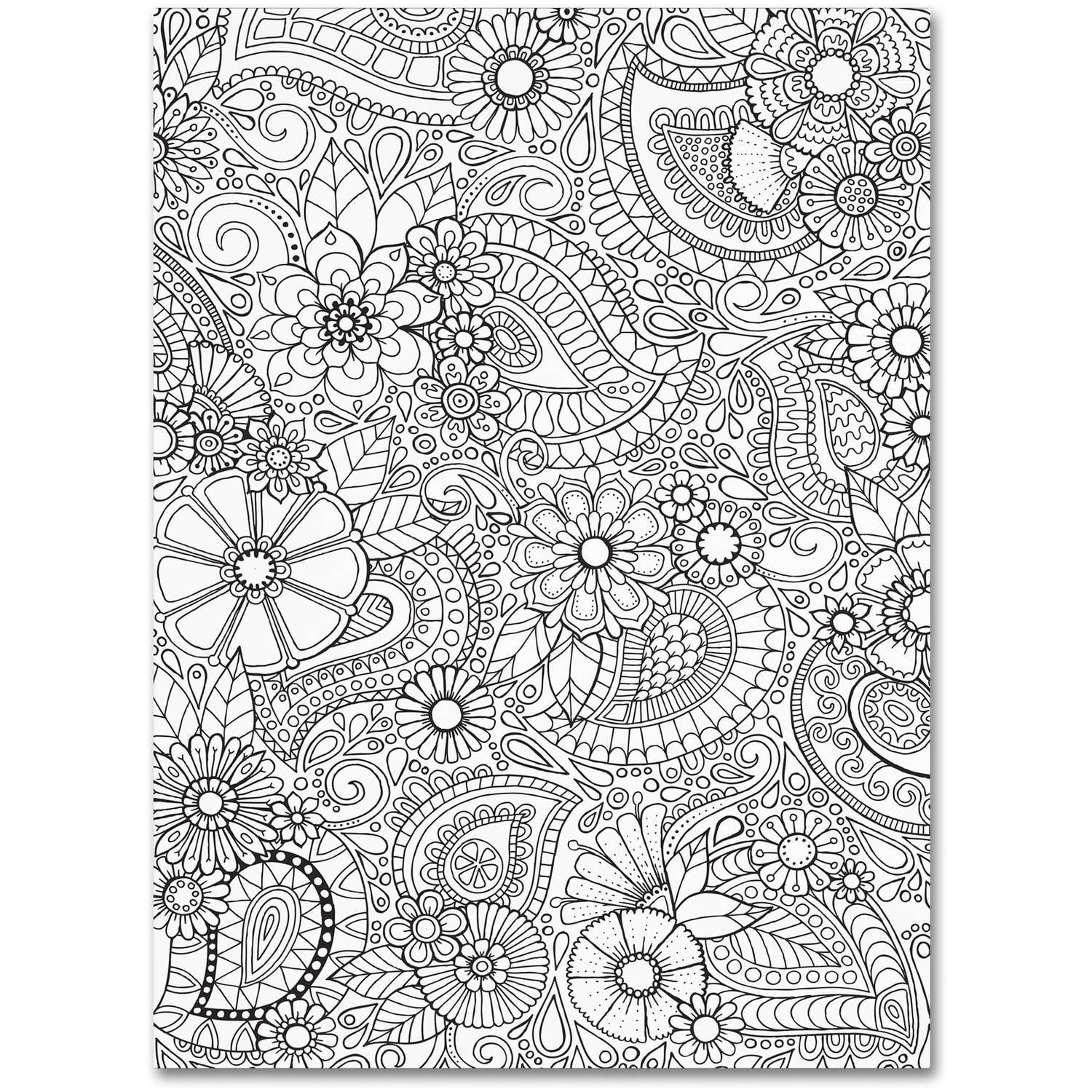 Trademark Fine Art "Paisley Blooms" Canvas Art by Hello Angel