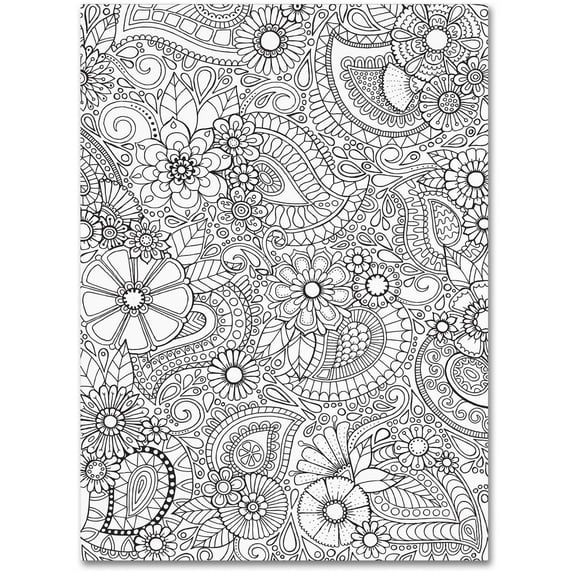 Trademark Fine Art "Paisley Blooms" Canvas Art by Hello Angel