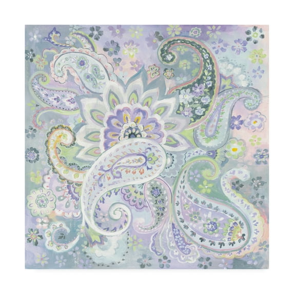 Trademark Fine Art 'Paisley Dream' Canvas Art by Danhui Nai