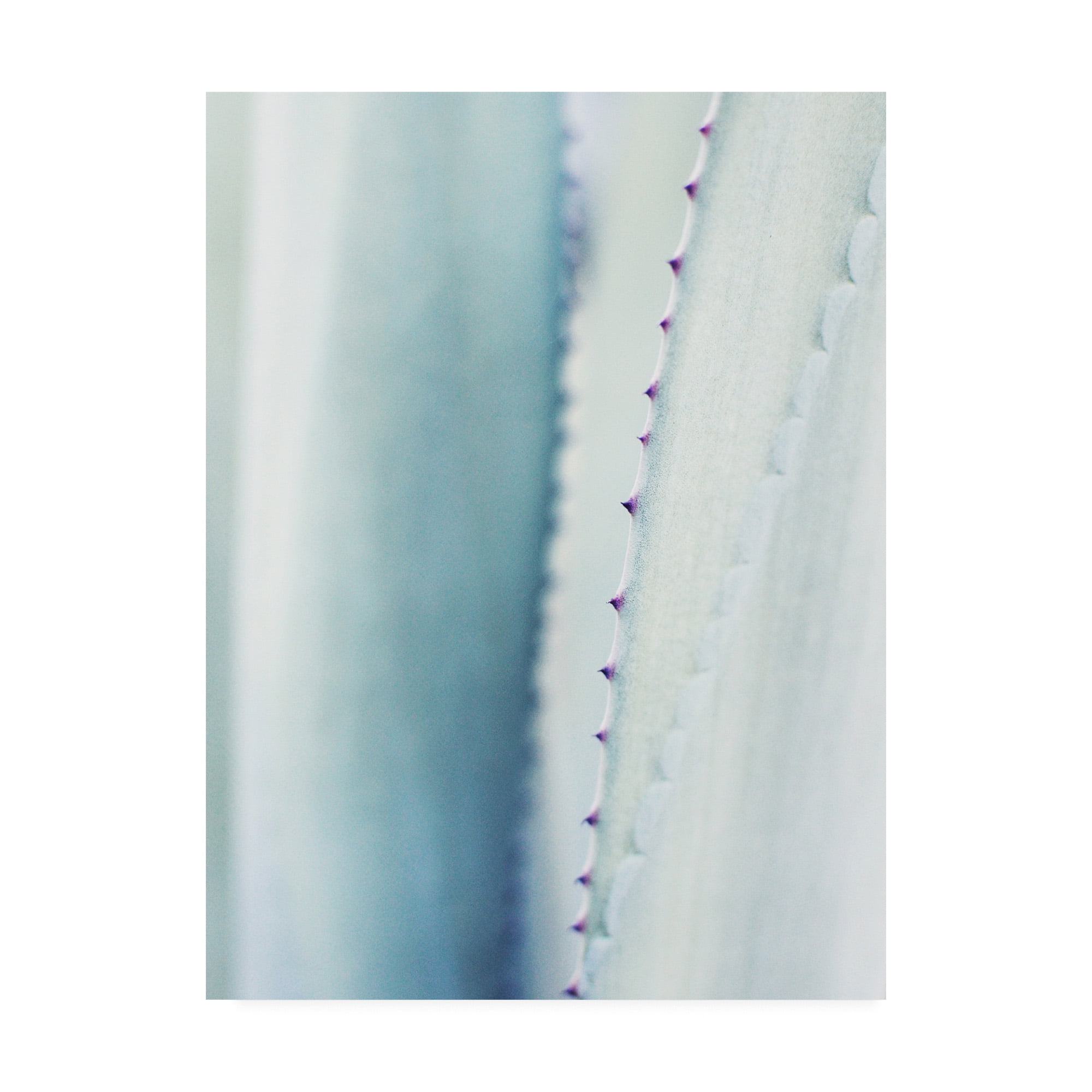 Trademark Fine Art 'Pale Blue Agave No. 2' Canvas Art by Lupen Grainn