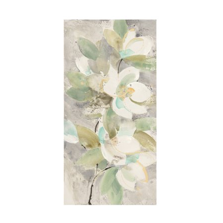 Trademark Fine Art 'Pale Magnolia' Canvas Art by Albena Hristova