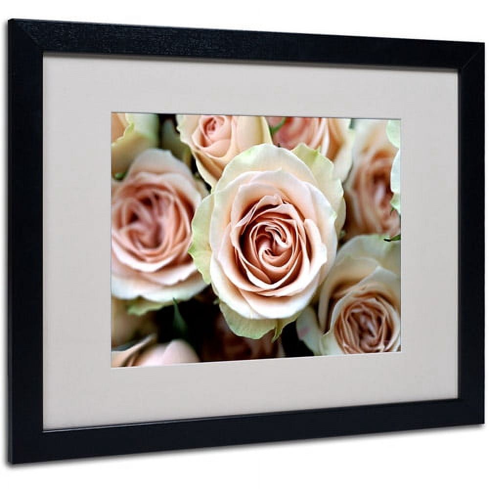 Trademark Fine Art 'Pale Pink Roses' Matted Framed Art by Kathy Yates