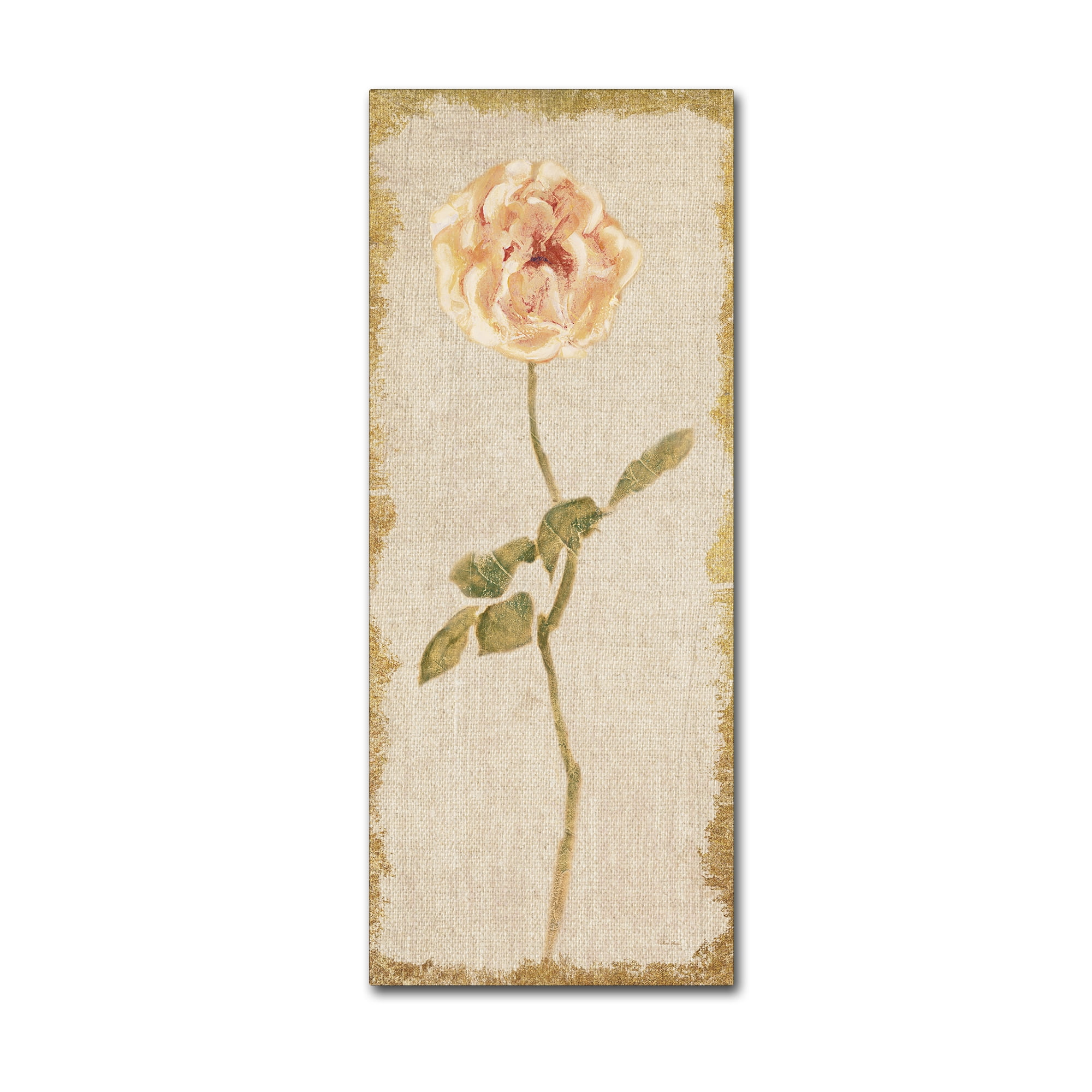 Trademark Fine Art 'Pale Rose Panel on White Vintage v2' Canvas Art by Cheri Blum