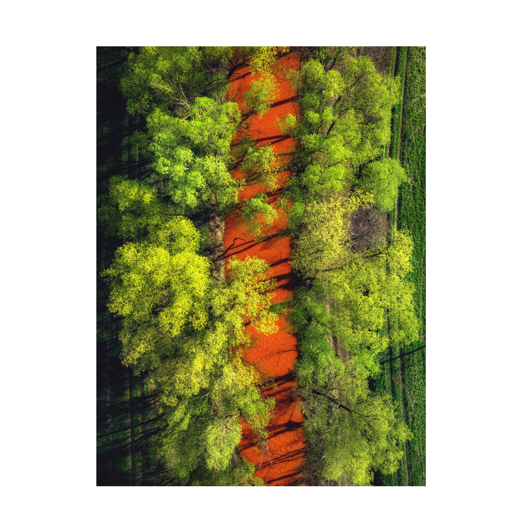 Trademark Fine Art Pali Gerec  Perverted Beauty Canvas Wall Art