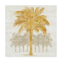 Trademark Fine Art 'Palm Coast II' Canvas Art by Sue Schlabach