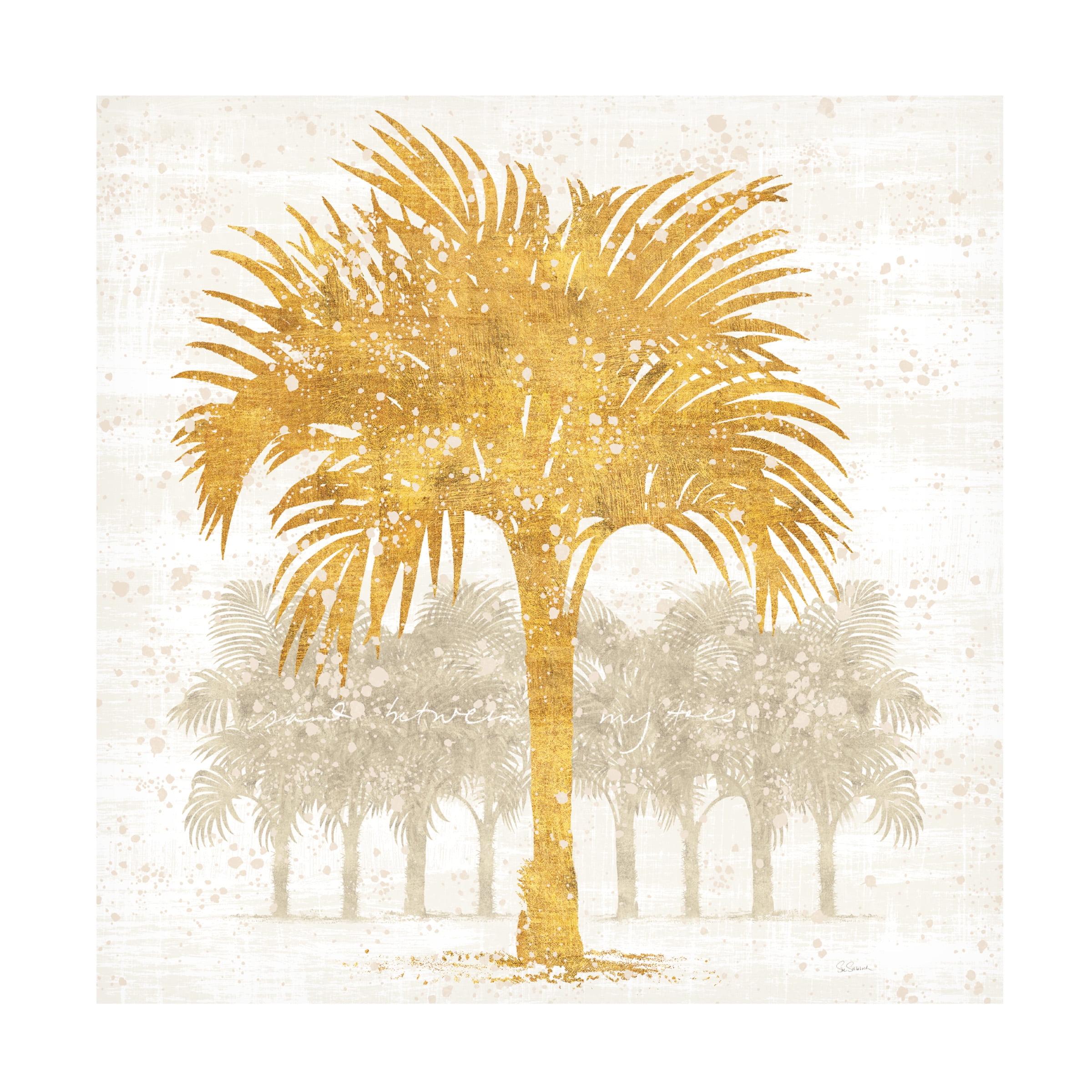 Trademark Fine Art 'Palm Coast IV' Canvas Art by Sue Schlabach