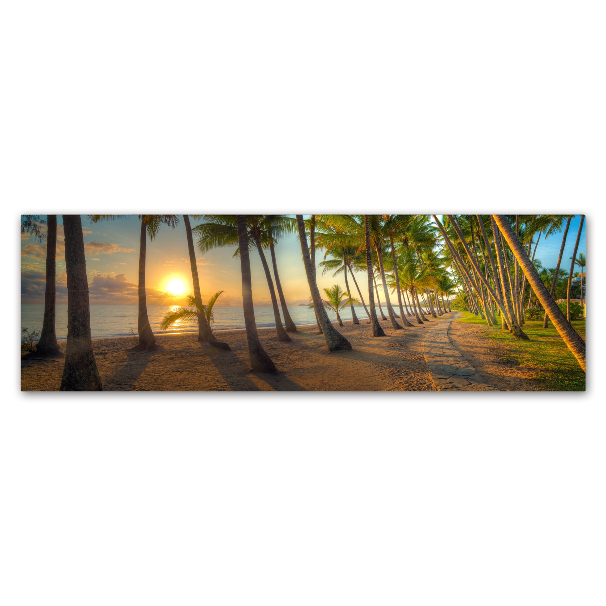 Trademark Fine Art 'Palm Cove' Canvas Art by Doug Cavanah