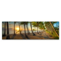 Trademark Fine Art 'Palm Cove' Canvas Art by Doug Cavanah