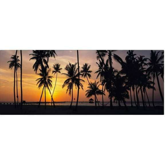 Trademark Fine Art "Palm Dream" Canvas Art by David Evans