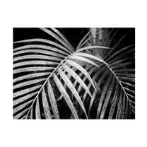 Trademark Fine Art 'Palm Fronds' Canvas Art by Debra Van Swearingen