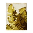 thumbnail image 1 of Trademark Fine Art 'Palm Fronds II' Canvas Art by Rachel Perry, 1 of 3