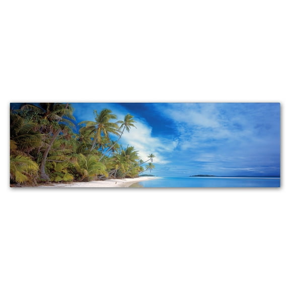 Trademark Fine Art 'Palm Landscape' Canvas Art by Doug Cavanah