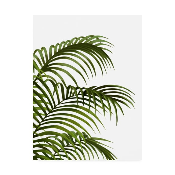 Trademark Fine Art 'Palm Leaf 1, Green On White' Canvas Art by Fab Funky