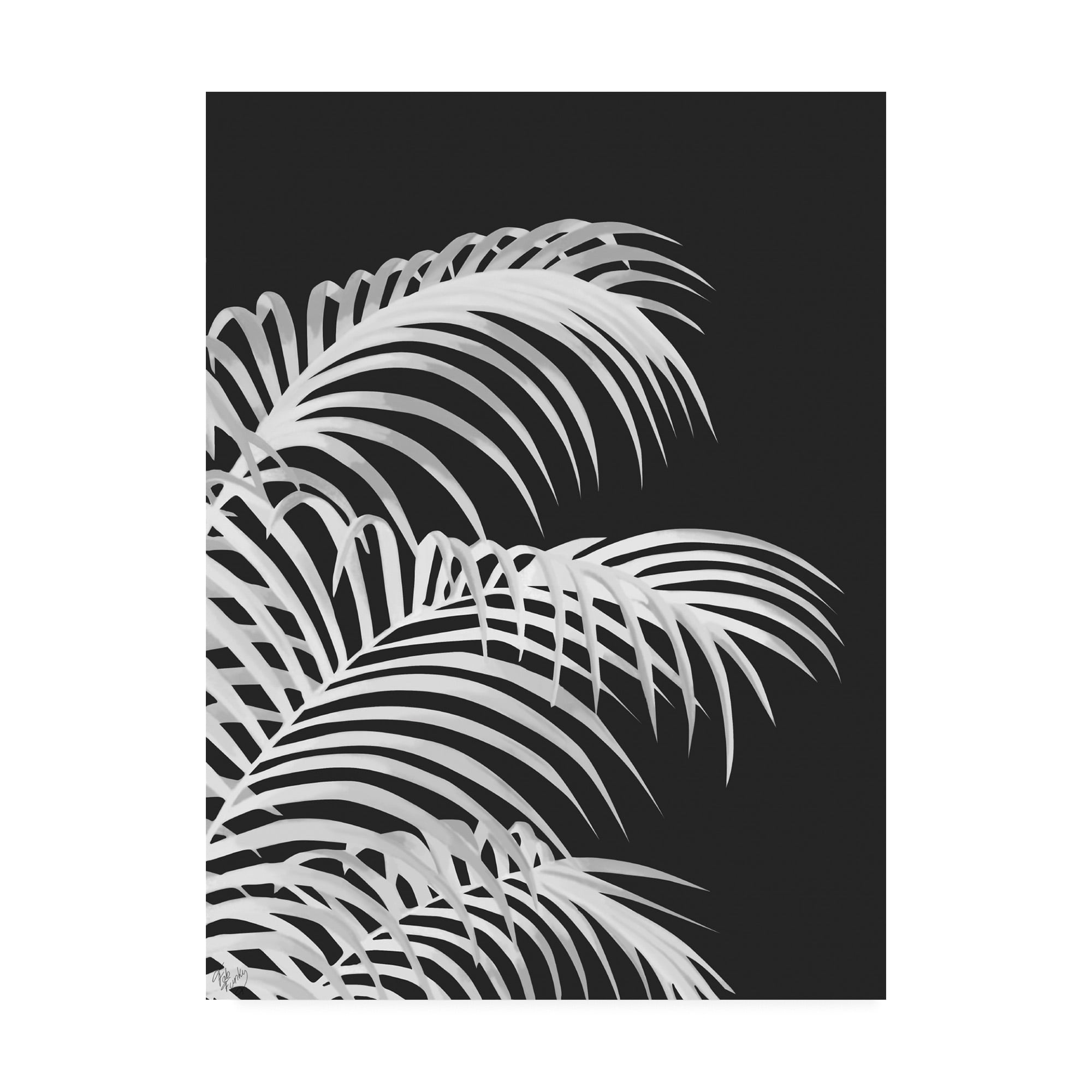 Trademark Fine Art 'Palm Leaf 1, White On Black' Canvas Art by Fab Funky