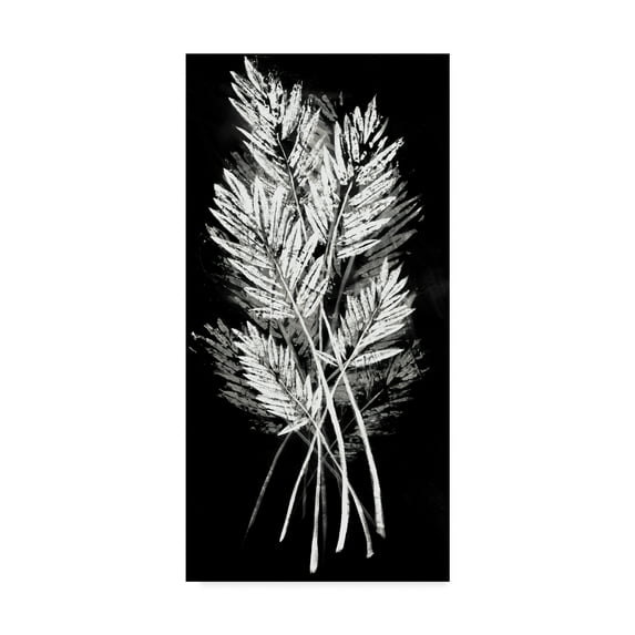 Trademark Fine Art 'Palm Leaf Fresco II' Canvas Art by Vision Studio