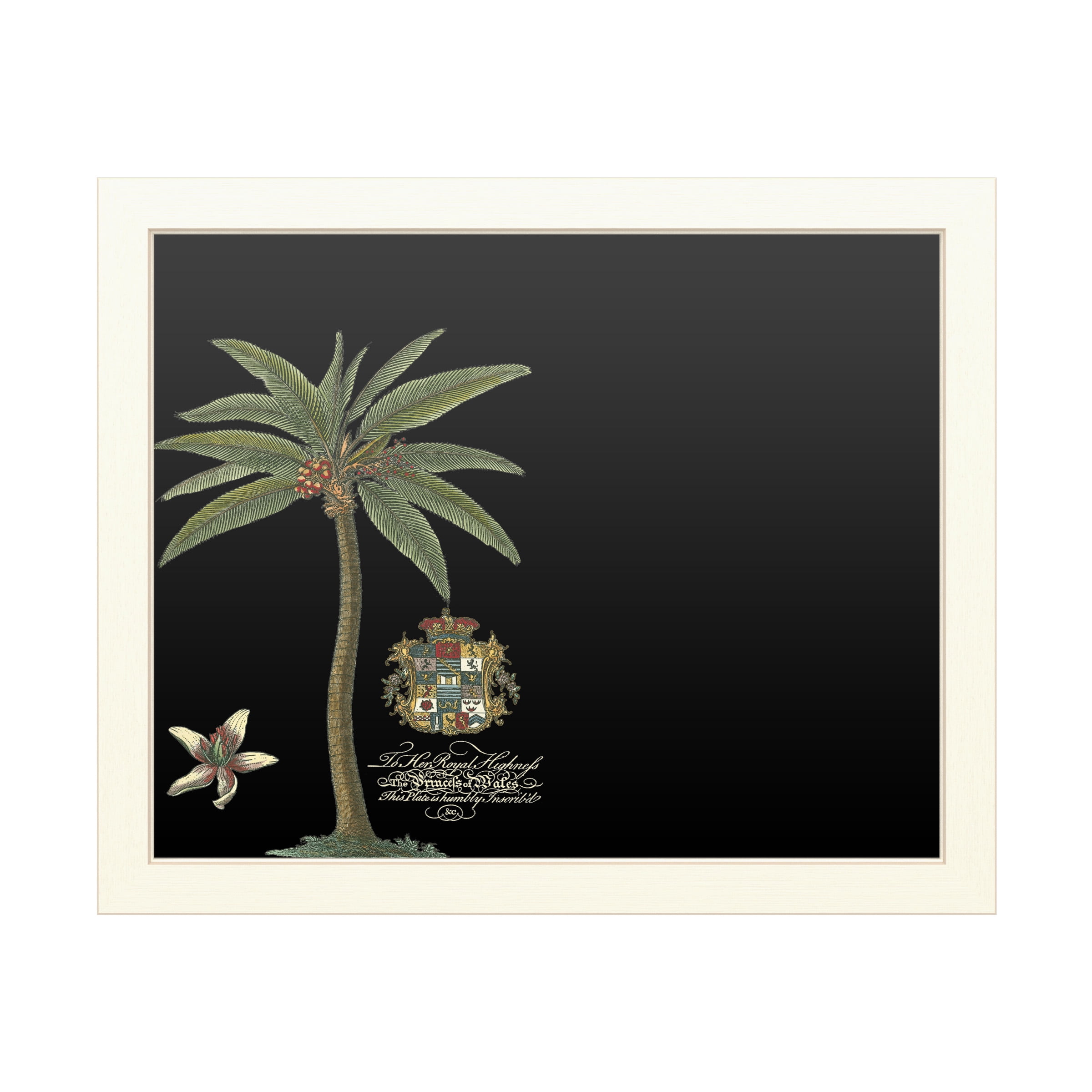 Trademark Fine Art 'Palm On Black I' Chalkboard by Unknown