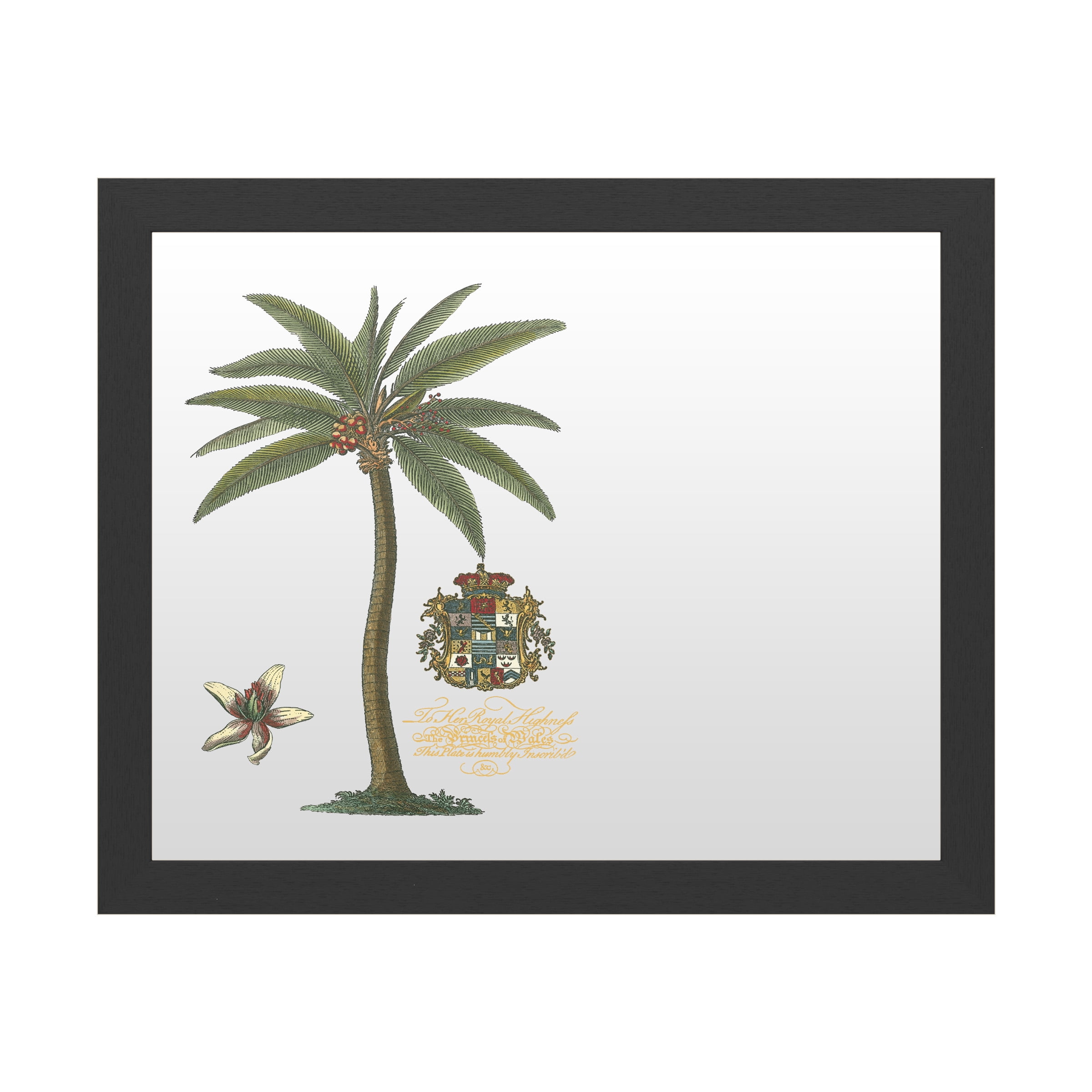 Trademark Fine Art 'Palm On Black I' Markerboard by Unknown