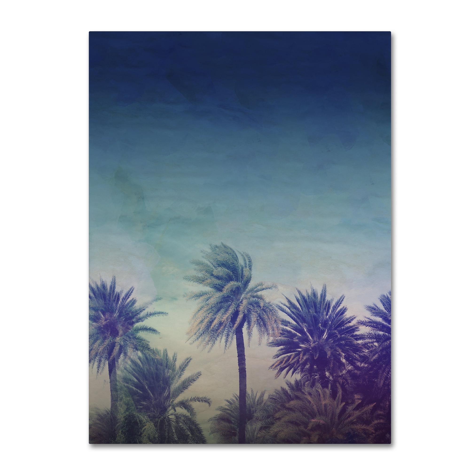 Trademark Fine Art "Palm Paradise" Canvas Art by Leah Flores